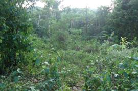 Development Land (Residential) for Sale in Adelphi