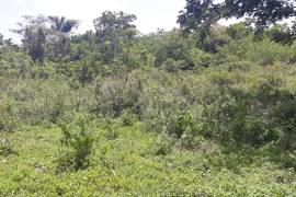 Development Land (Residential) for Sale in Adelphi