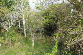 Development Land (Residential) for Sale in Red Hills