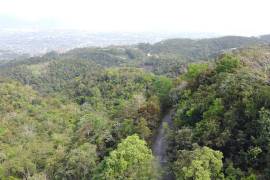 Development Land (Residential) for Sale in Red Hills