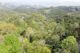 Development Land (Residential) for Sale in Red Hills