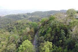 Development Land (Residential) for Sale in Red Hills