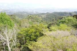 Development Land (Residential) for Sale in Red Hills