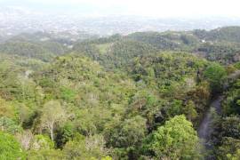 Development Land (Residential) for Sale in Red Hills