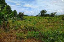 Development Land (Residential) for Sale in Linstead