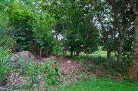 Development Land (Residential) for Sale in Linstead