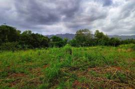 Development Land (Residential) for Sale in Linstead