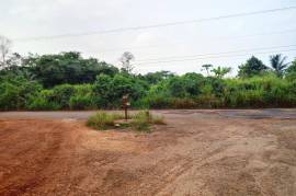 Development Land (Residential) for Sale in Linstead