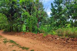 Development Land (Residential) for Sale in Linstead