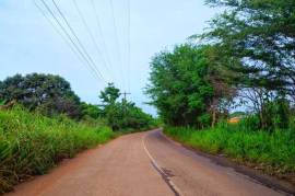 Development Land (Residential) for Sale in Linstead