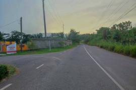 Development Land (Residential) for Sale in Linstead