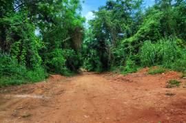 Development Land (Residential) for Sale in Linstead