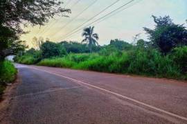 Development Land (Residential) for Sale in Linstead