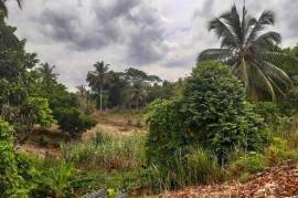 Development Land (Residential) for Sale in Linstead