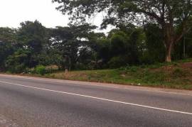 Development Land (Residential) for Sale in Linstead