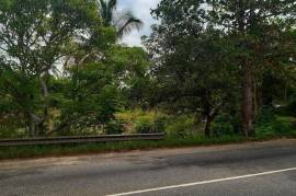 Development Land (Residential) for Sale in Linstead