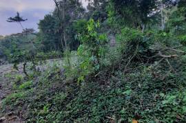 Development Land (Residential) for Sale in Ramble