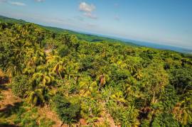 Development Land (Residential) for Sale in Belfield