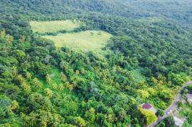 Development Land (Residential) for Sale in Belfield