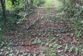 Development Land (Residential) for Sale in Falmouth