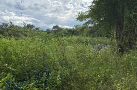 Development Land (Residential) for Sale in Falmouth