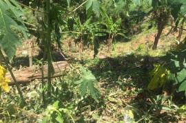 Development Land (Residential) for Sale in Kingston 9