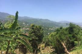 Development Land (Residential) for Sale in Kingston 9