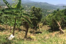 Development Land (Residential) for Sale in Kingston 9