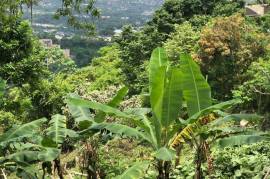 Development Land (Residential) for Sale in Kingston 9