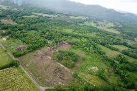 Development Land (Residential) for Sale in Pepper