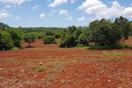 Development Land (Residential) for Sale in Nain