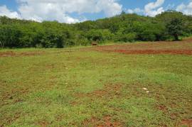 Development Land (Residential) for Sale in Nain