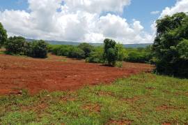 Development Land (Residential) for Sale in Nain