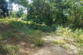 Development Land (Residential) for Sale in Ewarton