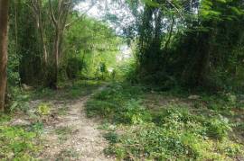 Development Land (Residential) for Sale in Ewarton