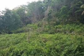 Development Land (Residential) for Sale in Adelphi