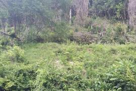 Development Land (Residential) for Sale in Adelphi