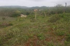 Development Land (Residential) for Sale in Junction