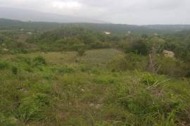 Development Land (Residential) for Sale in Junction