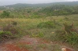 Development Land (Residential) for Sale in Junction