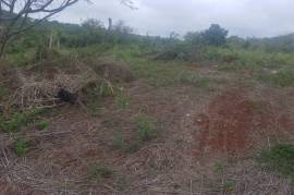 Development Land (Residential) for Sale in Junction