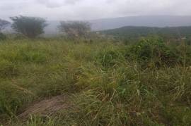 Development Land (Residential) for Sale in Junction