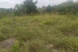 Development Land (Residential) for Sale in Junction