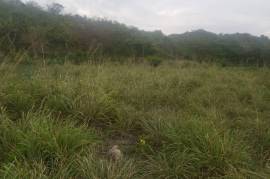 Development Land (Residential) for Sale in Junction