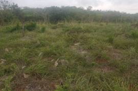 Development Land (Residential) for Sale in Junction