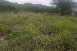 Development Land (Residential) for Sale in Junction