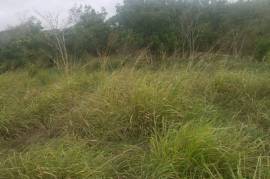 Development Land (Residential) for Sale in Junction