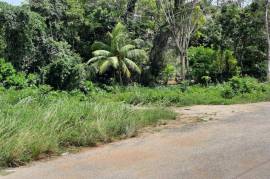 Development Land (Residential) for Sale in Montego Bay