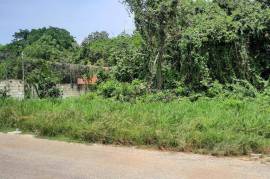 Development Land (Residential) for Sale in Montego Bay