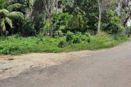 Development Land (Residential) for Sale in Montego Bay